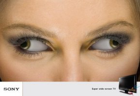 Свежая подборка демотиваторов, которые поднимут вам настроение