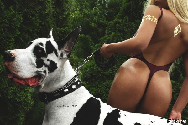 Солянка от 17.12.2018