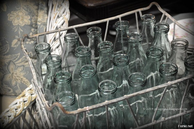 Пассажир и яйца