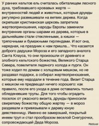 Торжество ЖКХ: новогоднюю ель для главной площади города срубили на соседней улице