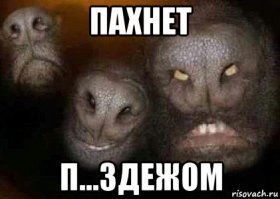 Американка на Hyundai Elantra за 5 лет проехала 1 600 000 километров