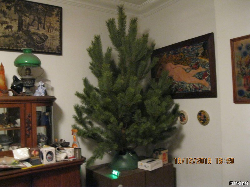 Ты ведь без доказательств не поверишь?