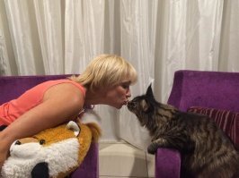 Такого кота вы еще не видели