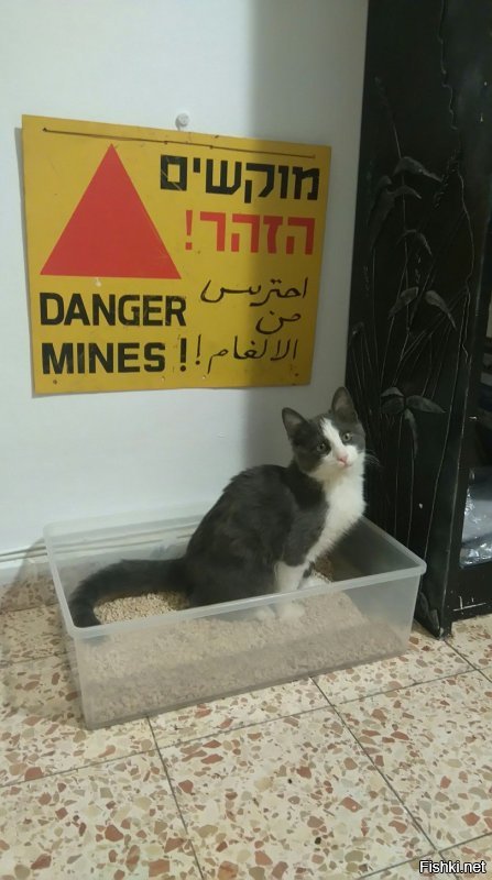 Неким пользователям в солянке посвящается