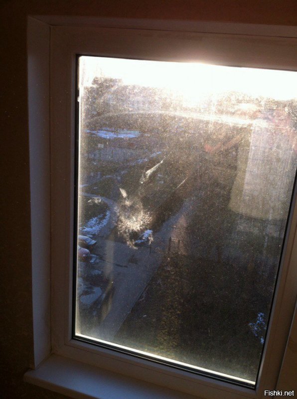 Солянка от 18.12.2018