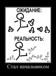 Прикольные и смешные картинки