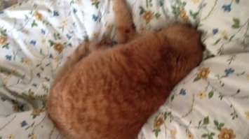 А ещё они в работе помогают!)