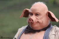 Прикольные и смешные картинки