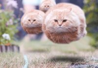 Скоро...