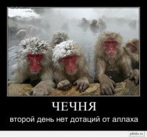 Дай денег и отойди: Рамзан Кадыров пожаловался на недостаточное финансирование Чечни