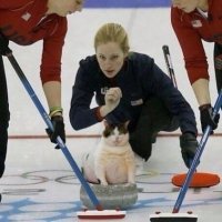 20 неловких спортивных ситуаций, которые поймал объектив фотографа
