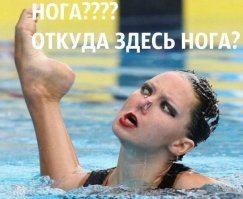 20 неловких спортивных ситуаций, которые поймал объектив фотографа