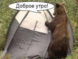 Невероятные зимние пейзажи, запечатленные из палаток