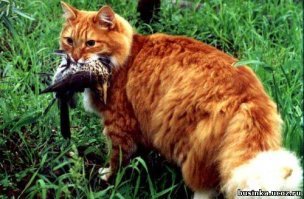 вы, там, в Белорусии  сохраните вас и синичку