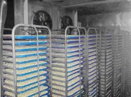 " ...обстоятельств гибели несчастных" (c)
Никто не знает. Несчастливы их семьи. 
А они может быть - счастливы 
и нехерлезть лезть и грабить пельмени в морозилке Земли!