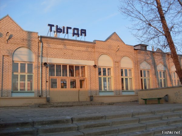 - Куда идем мы с