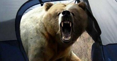 Невероятные зимние пейзажи, запечатленные из палаток