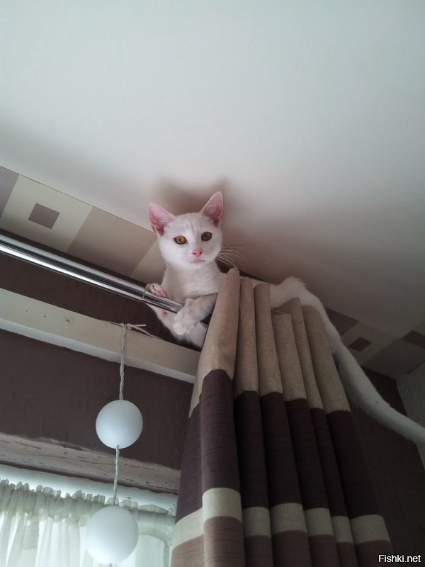 Солянка от 18.12.2018