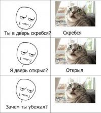 Прикольные и смешные картинки