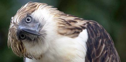 всё понятно