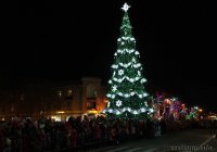 у нас искусственную  уже несколько лет ставят. днём стремновато выглядит ,а ночью когда горит норм.