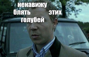 Прикольные и смешные картинки