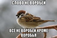 Прикольные и смешные картинки
