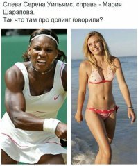 Прикольные и смешные картинки