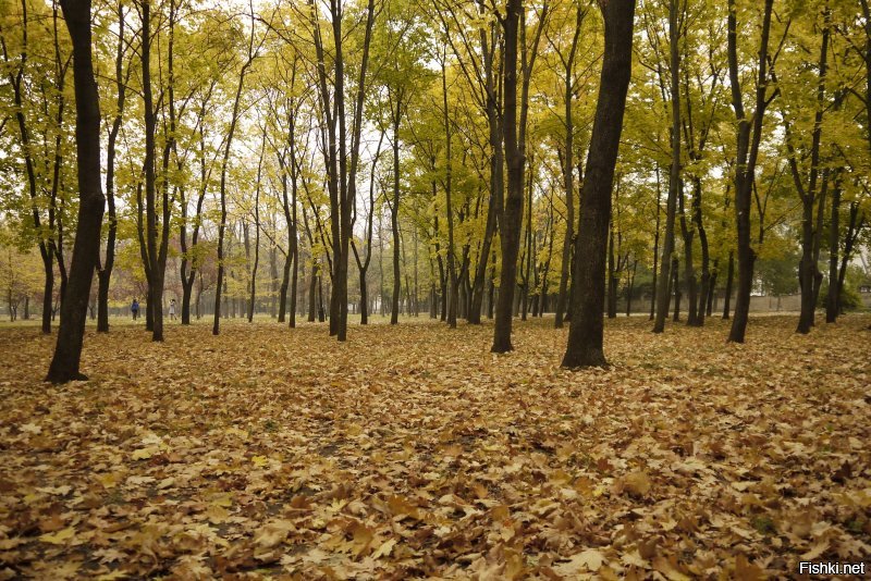 20 трэвел-фотографий, которых назвали лучшими снимками из путешествий в 2018 году
