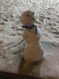 В Калининграде чу-чуть снега, но радости он принёс неописуемую!!!