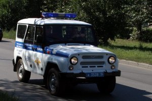 Лошара! Вот чего надо было брать!