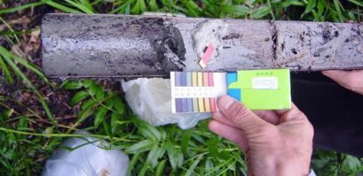 Дачники этим страдают во всю, до гробовой доски кислотность почвы проверяют.