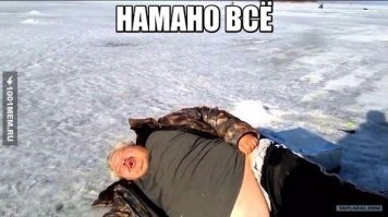 Прикольные и смешные картинки