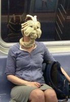 Любопытный осьминог, присосавшись к маске дайвера, принял участие в подводном селфи