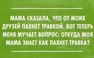 Прикольные и смешные картинки