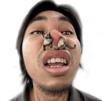 Аллергия обычно не на шерсть. Шерсть состоит из кератина. А кератин он и есть кератин, что у кошек, что у собак, что у человека, что у овцы...  Аллергия возникает чаще всего на белковые компоненты кошачьей слюны. Аллергологи винят вроде бы специфический белок хистатин (Fel D1), присутствующий в кошачьей слюне. Кошки постоянно вылизываются, слюна высыхает на шерсти, слущивается в виде мельчайших чешуек и в составе домашней пыли попадает в лёгкие, на кожу, в глаза, вызывая бронхоспазм, слезотечение, насморк т.п. у восприимчивых лиц... У кошек сибирской породы и невской маскарадной этого белка нет. И аллергия на этих длинношёрстных животин встречается гораздо реже.