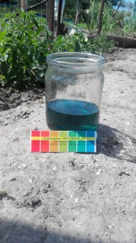 Кстати о лакмусе. В этой баночке проба с огородной земли. После пробы устроила детям волшебство, насыпая и наливая в эту банку соду и уксус. Раствор радостно менял цвет в соответствии со шкалой. Дети были в восторге, рекомендую.