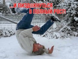 Прикольные и смешные картинки