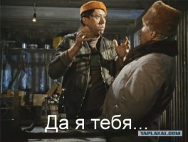 Водку - в пельмени?!