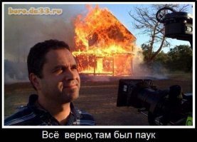 "Сжечь дом и не возвращаться": к австралийцу в дом заползли питон и гигантский паук