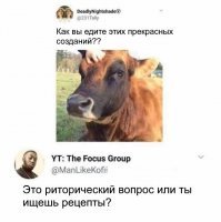 Живодёры просят Путина о поддержке