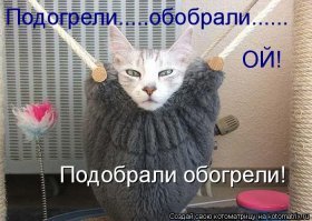 Когда поймал свою сбежавшую кошку, но всплыл один нюанс