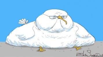 Картинки с надписями