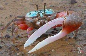 Только сильные духом могут управлять экскаваторами