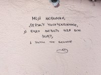 А что там внизу за рисунок? Пенис поэта в проруби?