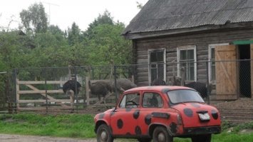 Подборка автомобильных приколов