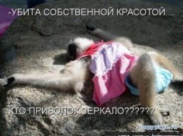 25 раз, когда девушки думали, что умеют хорошо краситься, но с треском провалились