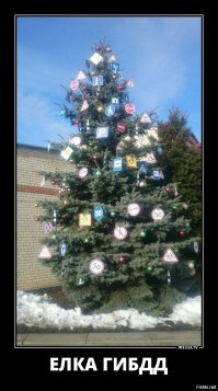 Идеи для украшения вашего дома: елки из печенья, лыж и бактерий