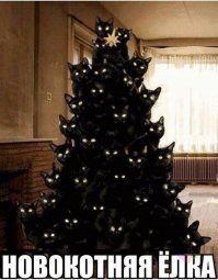 Идеи для украшения вашего дома: елки из печенья, лыж и бактерий