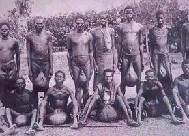 Не благодарите